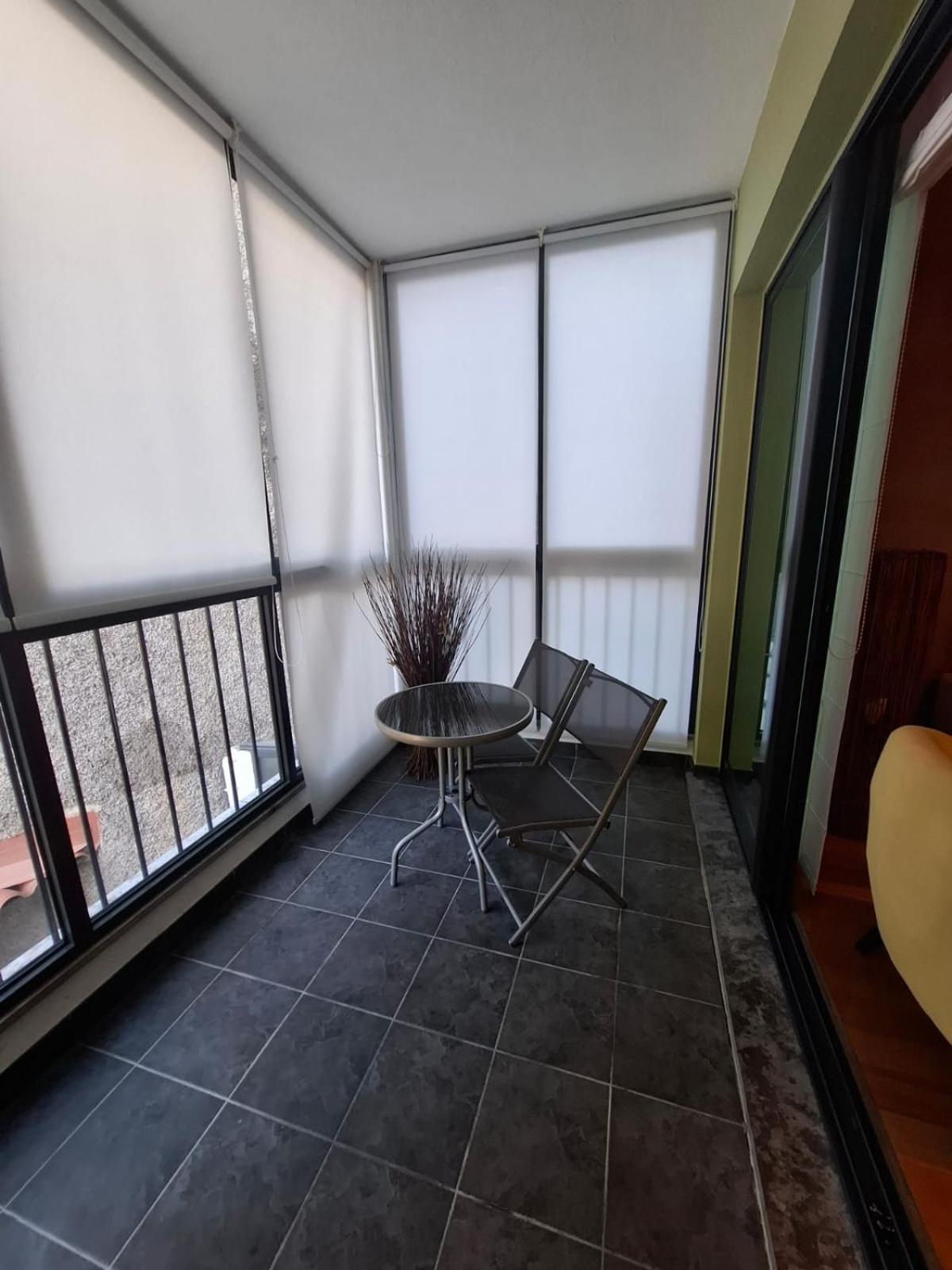Cozy And Bright Apartment Machico  Exteriér fotografie